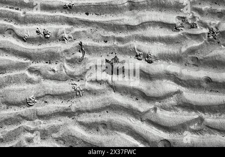Beach sand picture from above showing the pattern of the sand with a leaf included in the pattern in black and white Stock Photo