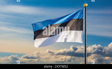 Die Fahne von Estland flattert im Wind Stock Photo