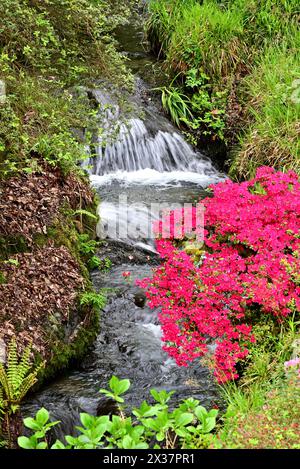 Around the UK - Bodnant Gardens, North Wales Stock Photo