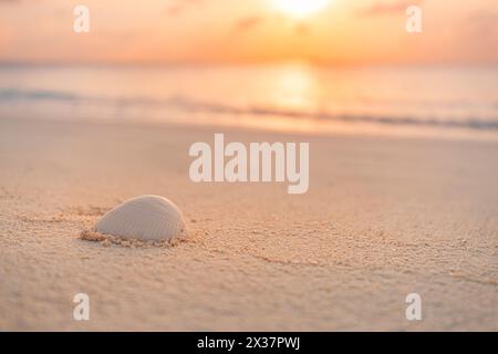 Seashell on sandy beach with blurred bokeh ocean in background and sunset light reflecting on the shell. Calm peaceful nature, inspire seaside Stock Photo