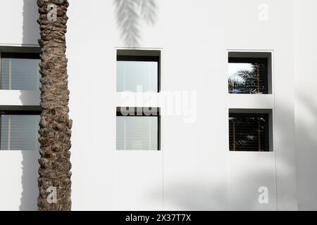 Date Palm Tree Trunk and Shadow of Palm Leaved on white wall by windows a The Chedi Hotel Muscat Oman Stock Photo