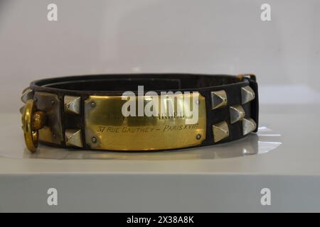 Medieval studded leather dog collar Stock Photo