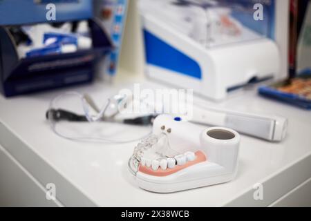 Model of human jaw with teeth, electrical toothbrush and glasses on table, shallow dof. Stock Photo