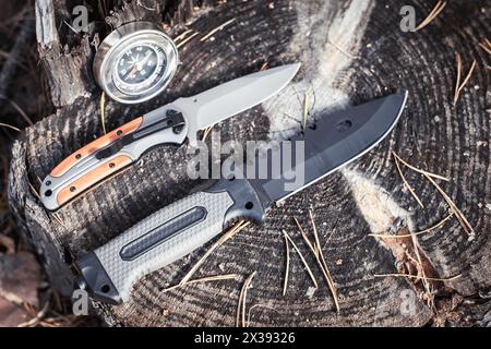 Compass and knife on a stump in the forest. Travel concept Stock Photo