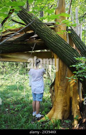 Woman stands near fallen tree after storm in forest at sunny day Stock Photo