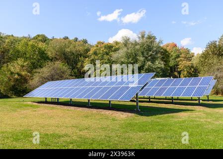 Rows of solar panels with trees in background in the countryside on a clear autumn day Stock Photo