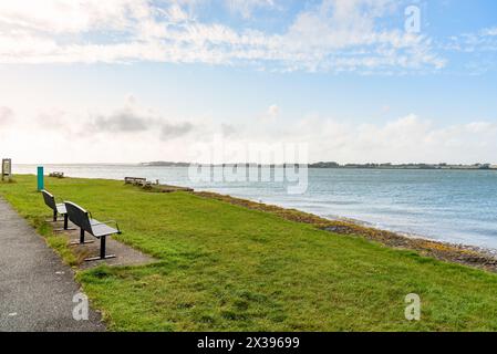 Small waterfront park with benches on grass on clear summer day Stock Photo