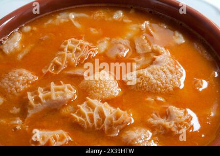 Callos a la Madrileña, close view. Madrid, Spain. Stock Photo