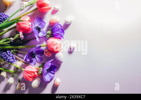 Happy Easter. Easter eggs with spring pink purple flowers flat lay on purple background. Greeting card or banner with blooms. Space. Top view Stock Photo