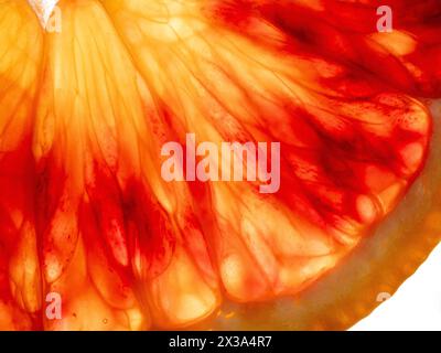 Slice of blood orange, macro shot. Stock Photo