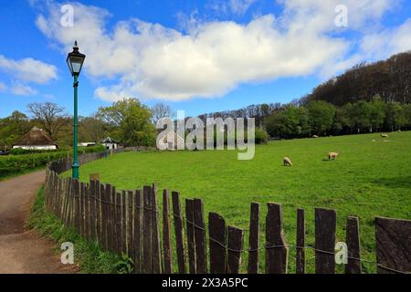 Meadow, St Fagan's National Museum of History. Taken April 2024 Stock ...