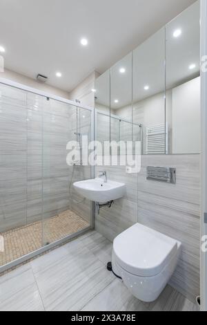 Bright Elegant Modern Minimalist Bathroom Interior Design of Shower Room With White Sink. Bathroom Accessories, Gray Walls, Concrete Floor, Mirror Stock Photo