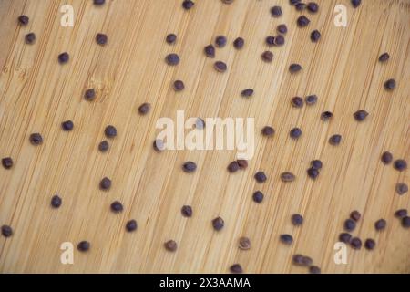 A top view of Mimosa pudica seeds on wooden background texture - growing from seed concept Stock Photo