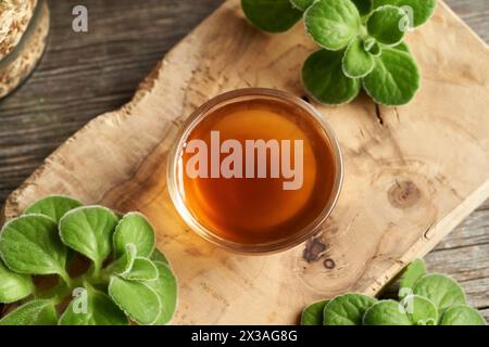 Homemade Plectranthus amboinicus syrup for common cold in a bowl, top view Stock Photo