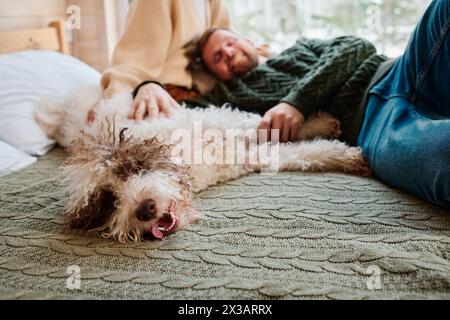 Selective focus shot of modern couple with lovely Lagotto Romagnolo dog relaxing on bed at home, copy space Stock Photo