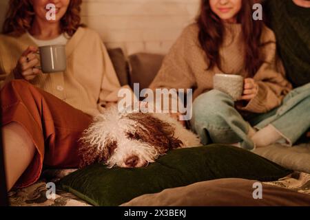 Selective focus of mother and daughter petting their sleepy lagotto romagnolo dog while relaxing in evening at home, copy space Stock Photo