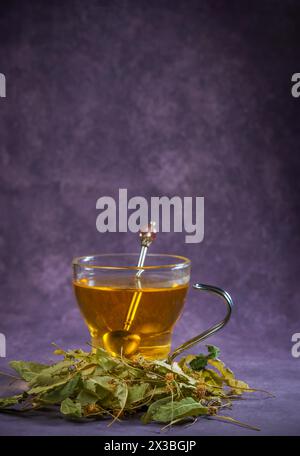 Glass cup with an infusion of lime blossom tea with fresh leaves around it Stock Photo