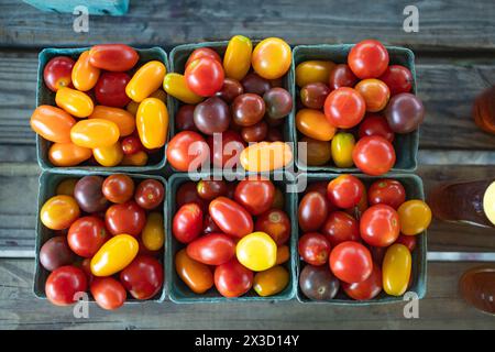 Heirloom Cherry Tomatoes in Paper Crates Stock Photo