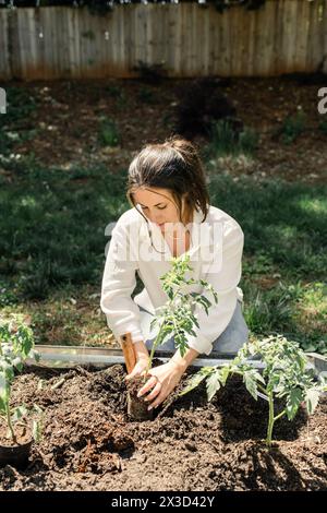 Concentrated woman planting seedlings in sunlit garden Stock Photo