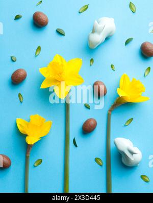 Easter composition with yellow daffodils, chocolate eggs, small green leaves and bunnies on blue background. Top view Stock Photo