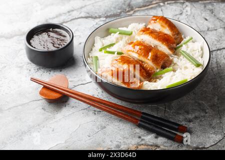 Homemade soy sauce chicken has silky tender meat with a deep savory flavor served with rice and dipping sauce closeup on the table. Horizontal Stock Photo