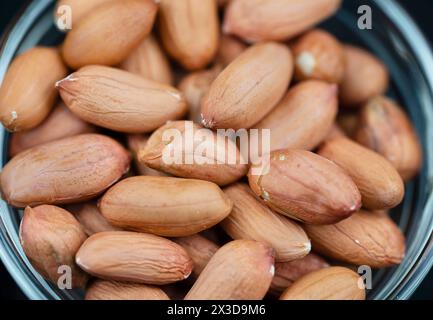 ground-nut, peanut (Arachis hypogaea), peanuts without shells in a bowl Stock Photo