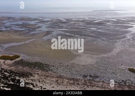 The Westerschelde during low tide, Netherlands, Westerschelde Stock Photo