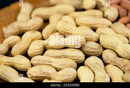 ground-nut, peanut (Arachis hypogaea), unpeeled peanuts Stock Photo