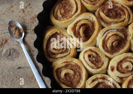 Delicious Homemade Cinnamon Rolls in Baking Dish Stock Photo
