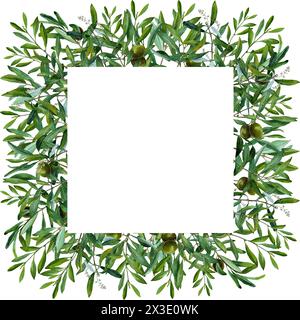 Olive tree square frame, border. Black olives and branches corners ...