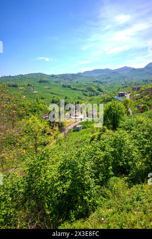 Small Village Amidst Green Forests Stock Photo