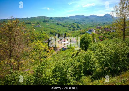 Small Village Amidst Green Forests Stock Photo