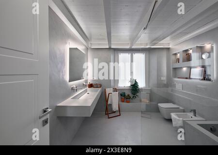 interior view of a modern bathroom clad in grey resin with wooden ceiling, in the foreground, on the left, the built-in sink Stock Photo