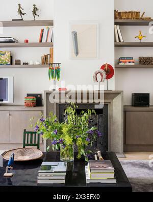 Cut flowers and wall shelving in stylish Brussels apartment, Belgium, Europe Stock Photo