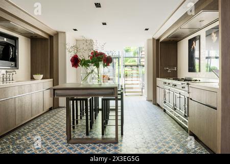 Sleek, modern galley kitchen in stylish Brussels apartment, Belgium, Europe Stock Photo