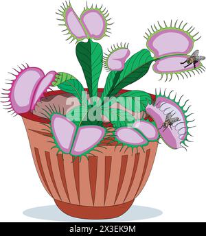 Cactus in a pot vector illustration Stock Vector