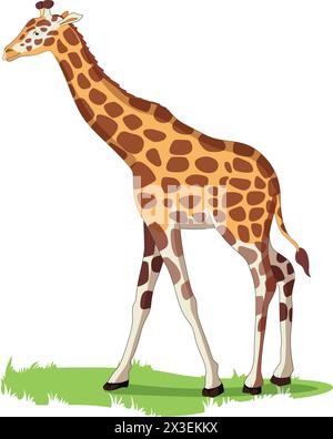 Giraffe on the Grass Vector Illustration Stock Vector