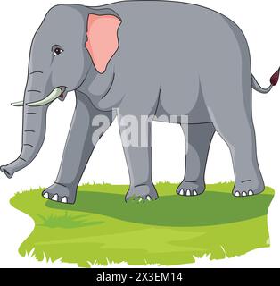 Elephant on the Grass Vector Illustration Stock Vector