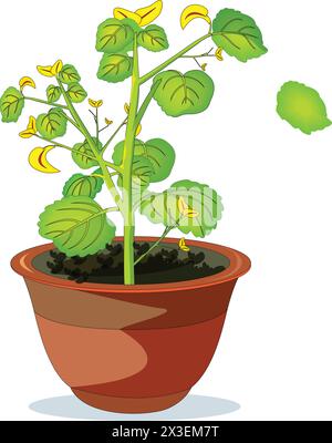 Growing plant in a pot vector illustration Stock Vector