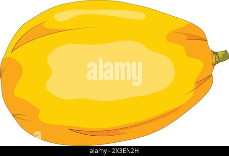 Papaya vector illustration Stock Vector