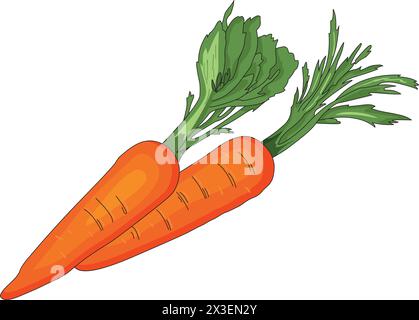 Orange Carrots Graphic Vector Illustration Stock Vector