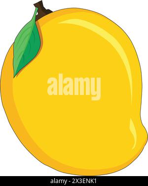 Mango vector illustration Stock Vector