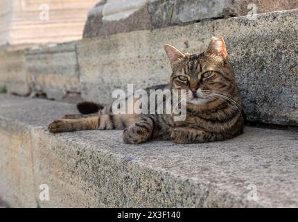 View from the ancient city of Smyrna Agora Stock Photo