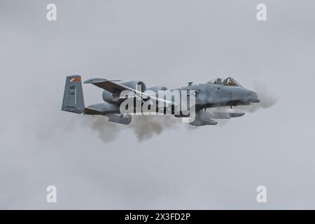 An A-10 Thunderbolt II from the 104th Fighter Squadron, Maryland Air National Guard, performs a Close Air Support (CAS) demonstration for a visiting d Stock Photo