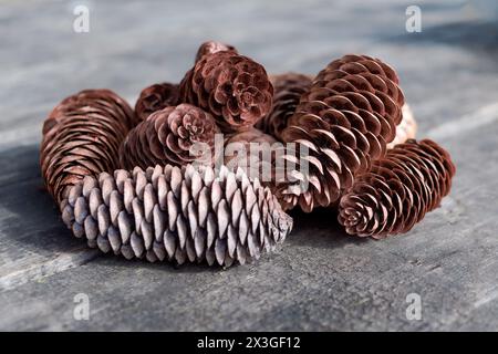 Dry fir cones on a wooden surface close-up. Stock Photo