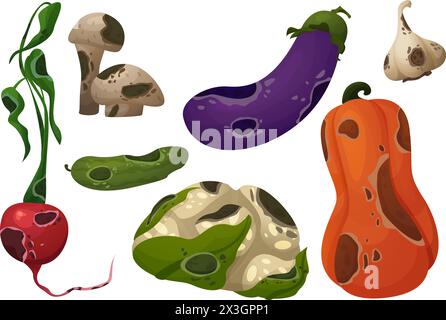 Rotten food with rot and mold. Cartoon vector illustration set of dirty spoiled vegetables. Damaged moldy meal contaminated with fungal spots for comp Stock Vector