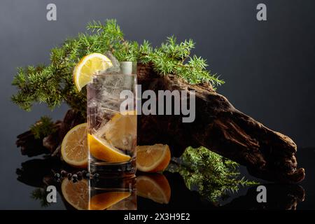 Gin-tonic cocktail with ice and lemon on a black reflective background. Iced drink with old snags and juniper branches. Stock Photo
