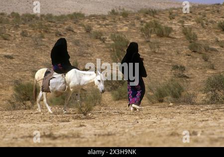 Bedouin  riding a donkey in the desert Stock Photo