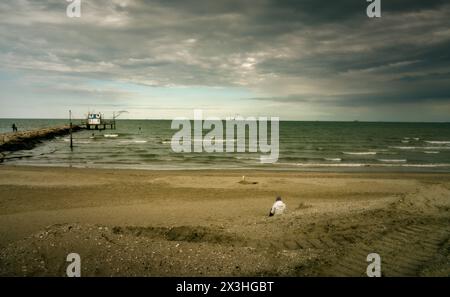 mouth of the Lamone river, near the Boca Barranca bathing establishment Stock Photo