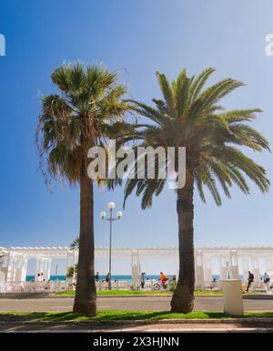 Promenade des Anglais, Nice France Stock Photo